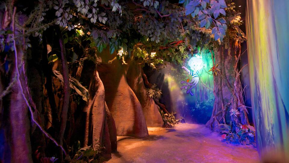 阿奎托邦 其中包括 內部景觀 和 騎乘