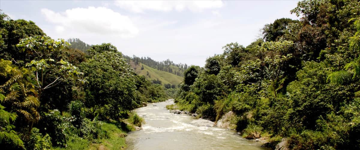 Jarabacoa montrant rivière ou ruisseau, panoramas et forêt vierge