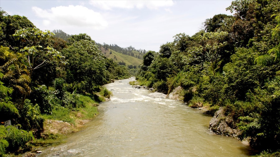 Jarabacoa featuring rainforest, a river or creek and landscape views