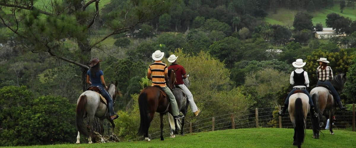 Jarabacoa showing tranquil scenes and horse riding