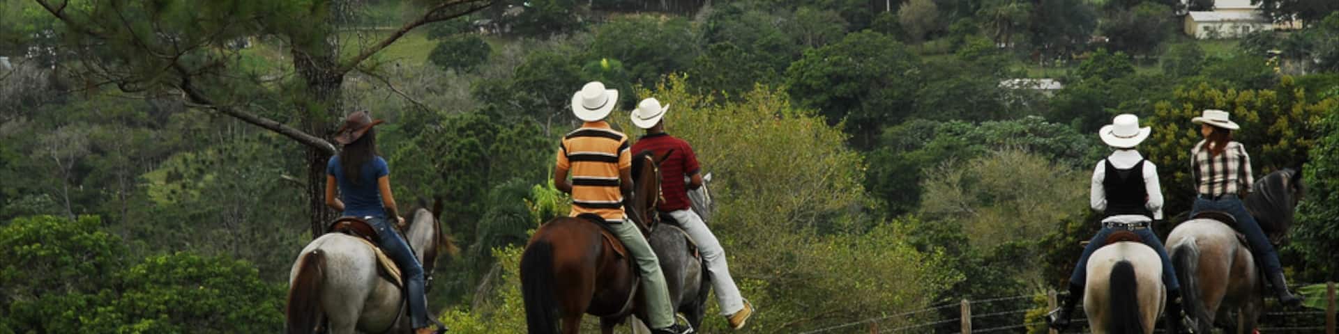 Jarabacoa showing tranquil scenes and horse riding
