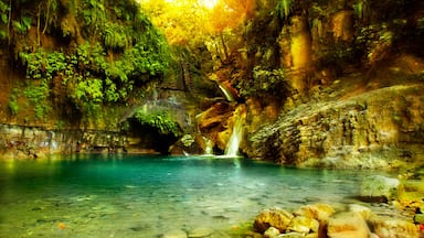 Dominican Republic which includes a gorge or canyon, a cascade and a lake or waterhole