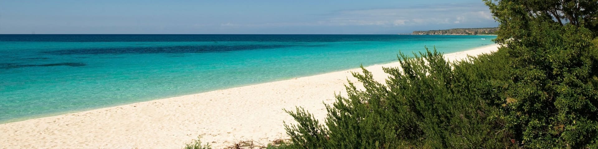 Dominican Republic showing a sandy beach, tropical scenes and landscape views