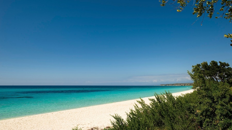 República Dominicana que incluye vistas panorámicas, escenas tropicales y una playa