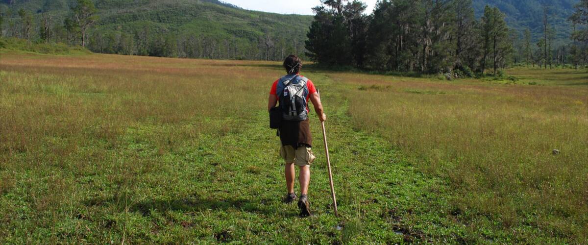 República Dominicana ofreciendo escenas tranquilas y senderismo o caminata y también un hombre