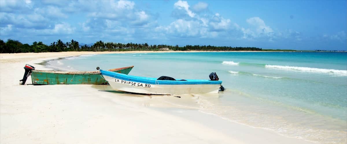 Saona Island showing landscape views, a sandy beach and tropical scenes