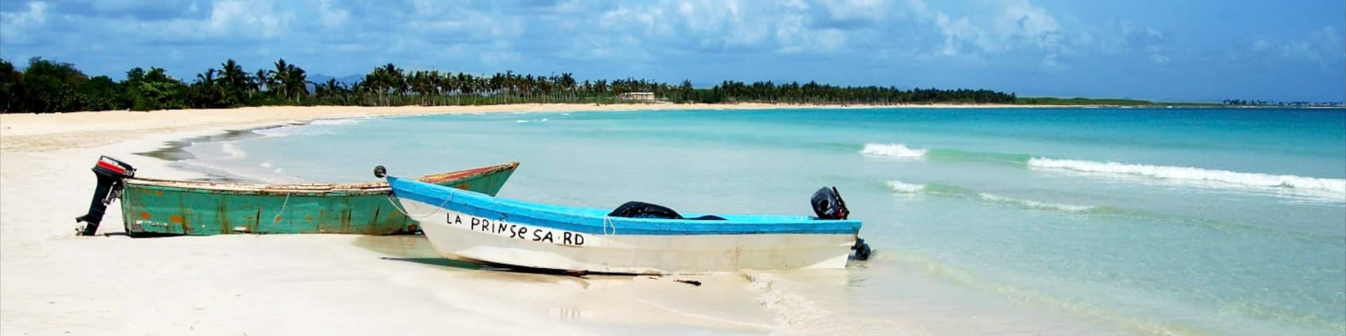 Saona Island showing tropical scenes, landscape views and a sandy beach