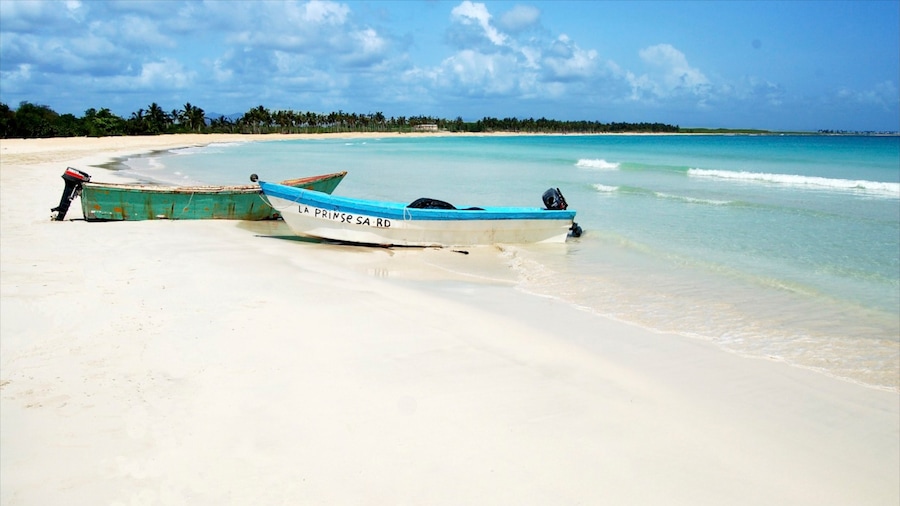Saona Island showing landscape views, a sandy beach and tropical scenes