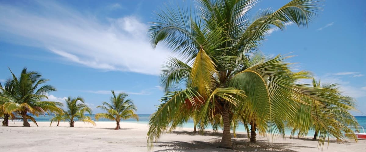 Saona Island which includes a beach and tropical scenes