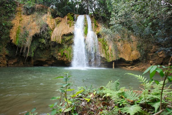 El Limon Falls showing a cascade and rainforest