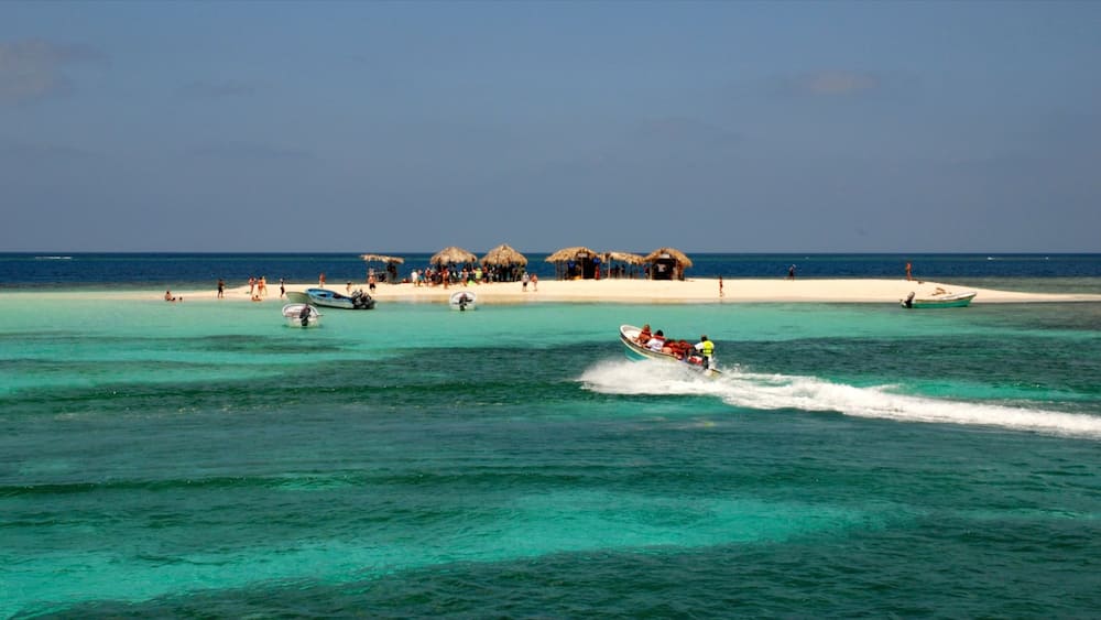 Dominican Republic featuring boating, island images and colourful reefs