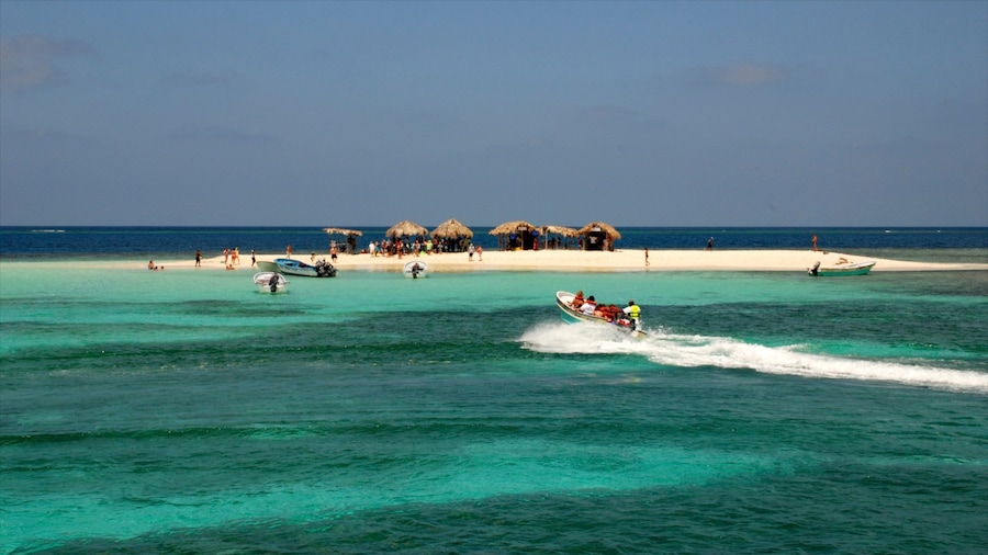 Dominican Republic featuring tropical scenes, island images and coral