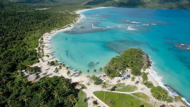 Samana che include spiaggia e paesaggio tropicale