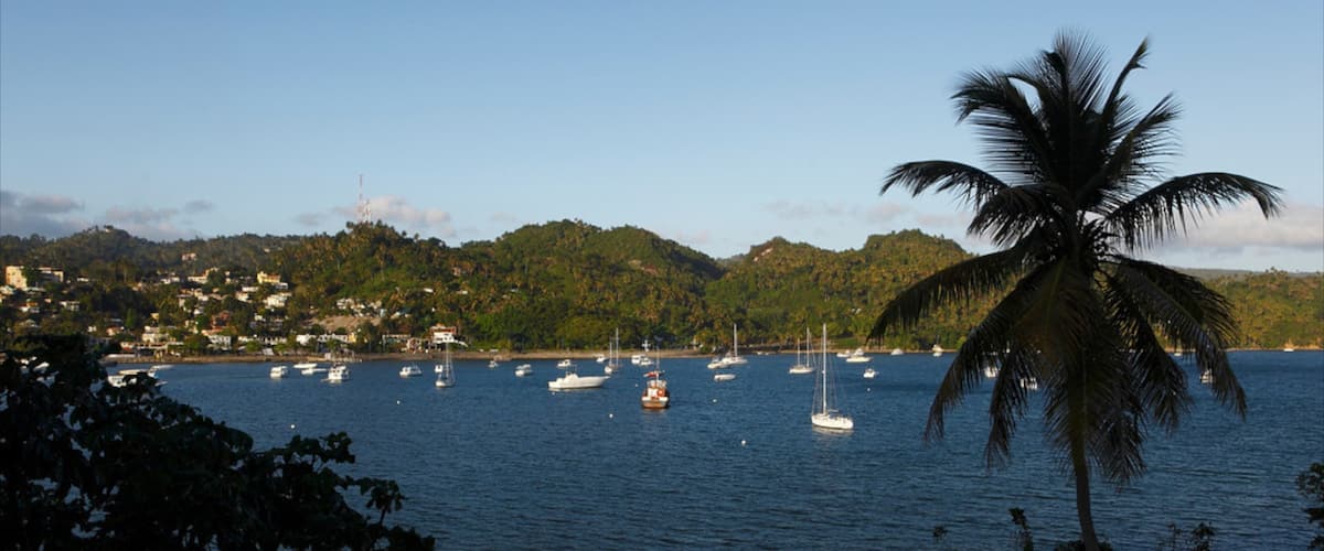 Samaná que incluye paseos en lancha, escenas tropicales y una bahía o puerto
