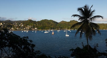 Samaná mostrando embarcaciones, escenas tropicales y una bahía o un puerto