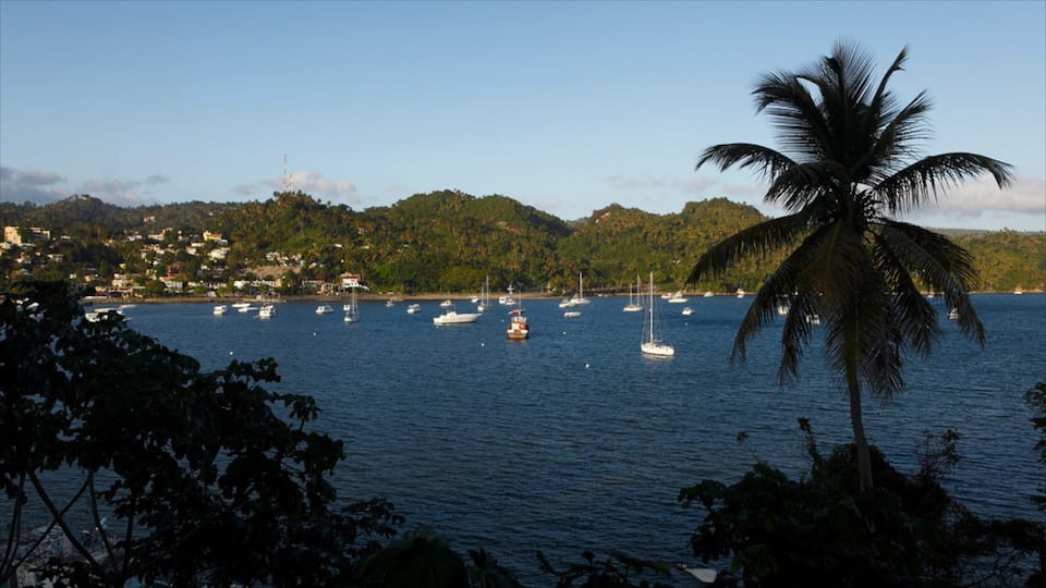 Samana showing a bay or harbor, tropical scenes and boating
