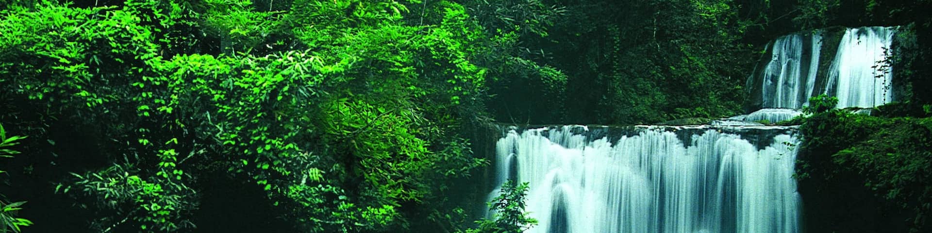 YS Falls showing a cascade and rainforest