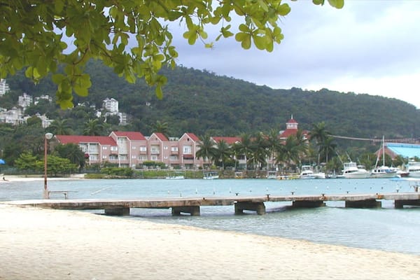 Tartaruga montrant scènes tropicales, baie ou port et plage