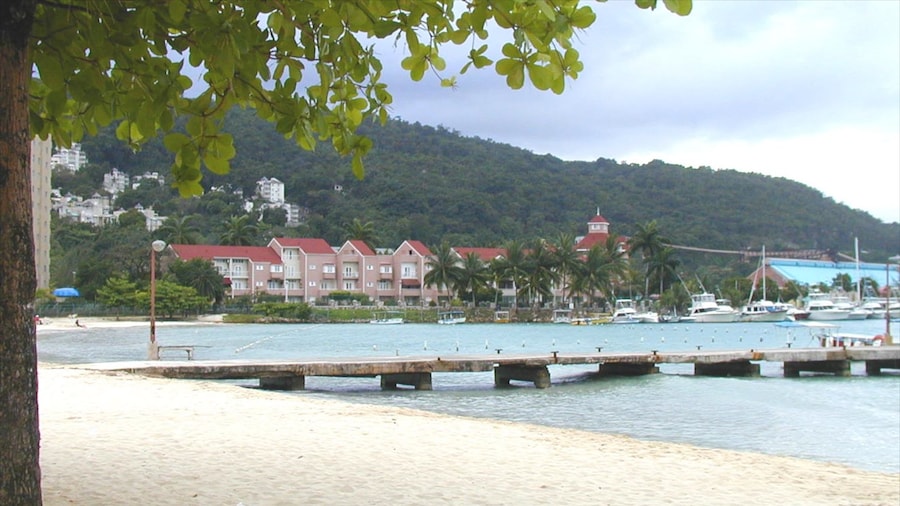 Turtle Beach 设有 海灣或海港, 熱帶風景 和 沙灘