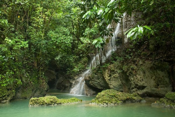 Somerset Falls mit einem Fluss oder Bach, Regenwald und Kaskade
