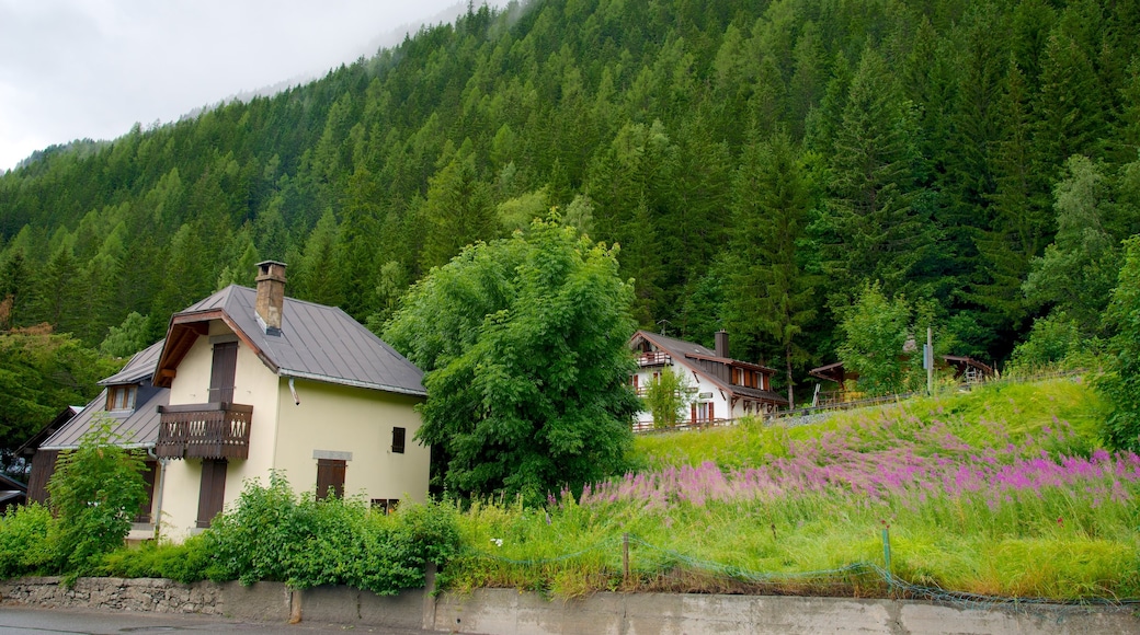 Argentiere showing a house, forest scenes and a small town or village