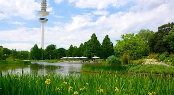 Planten un Blomen som viser et observatorium, en dam og en park