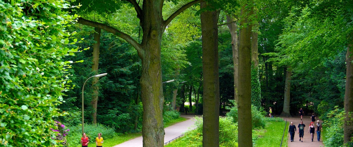 Stadtpark featuring a park