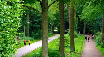 Stadtpark som inkluderer park