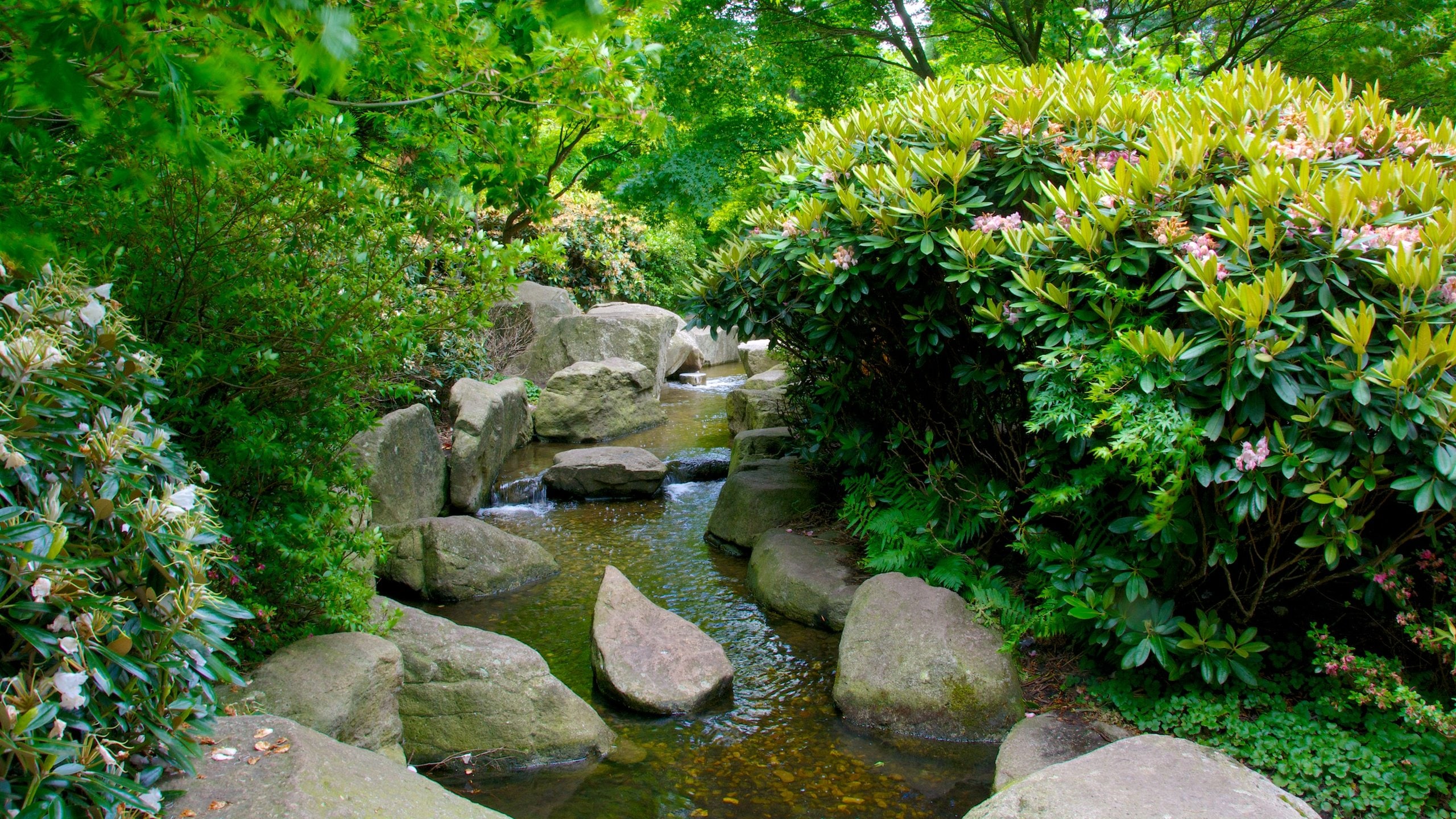 Hamburgo que incluye un río o arroyo y un parque