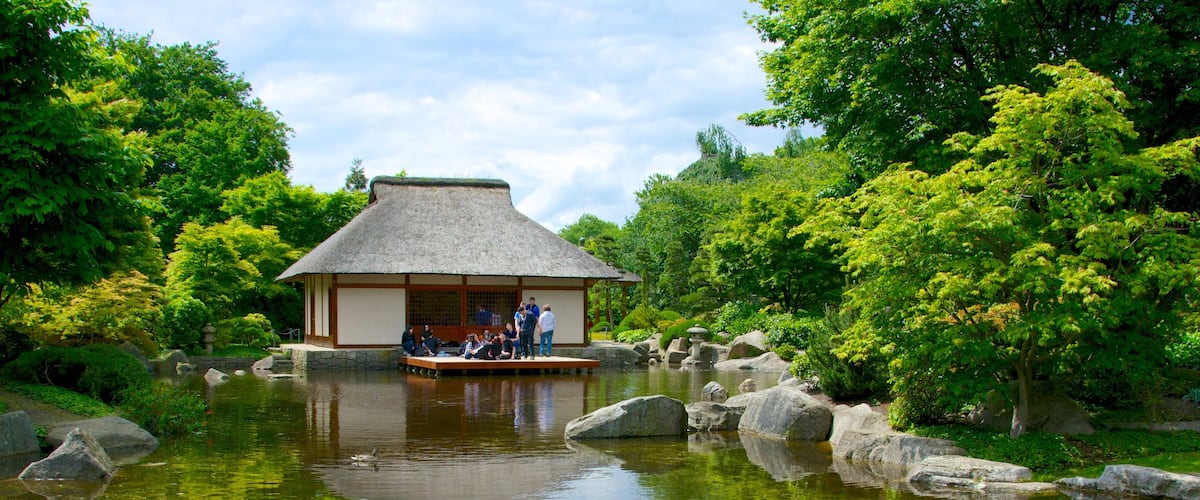 Den japanske have og byder på en have og en dam