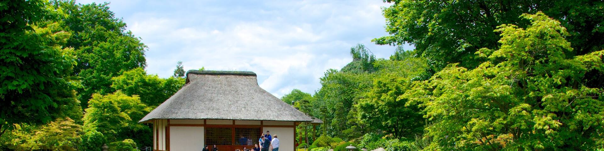 Japanese Garden showing a pond and a garden