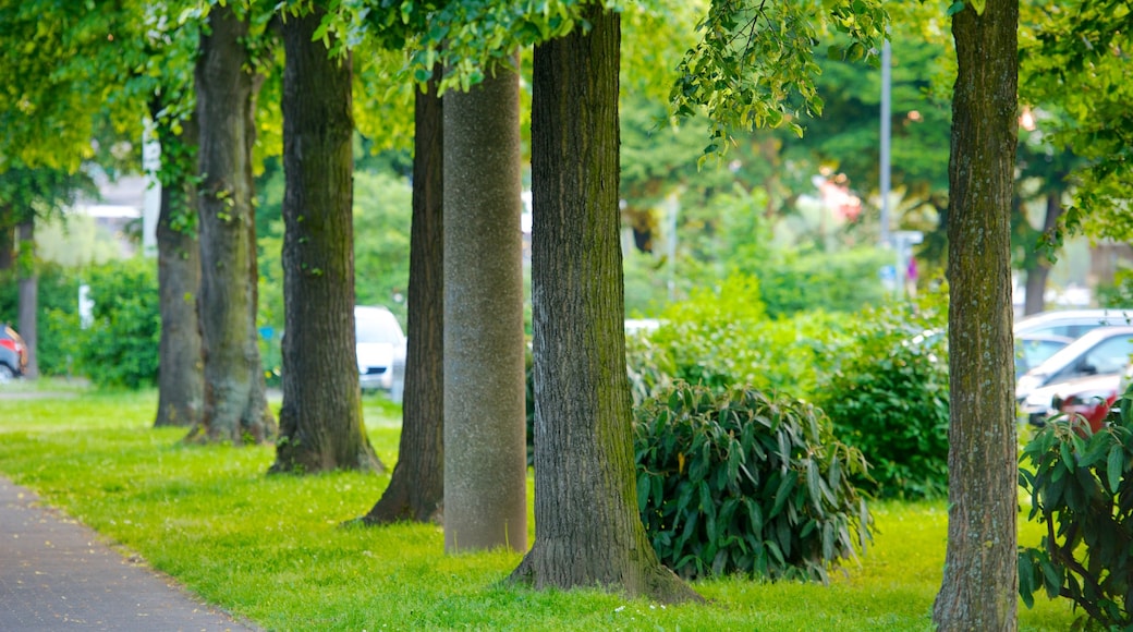 Cochem mit einem Park