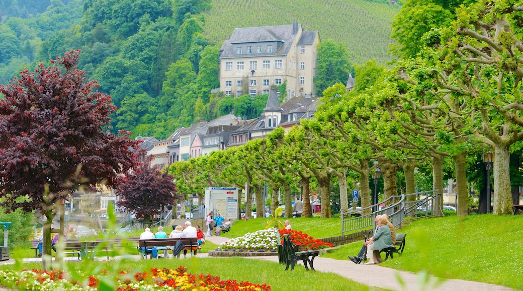 Cochem que incluye una pequeña ciudad o pueblo, flores y un jardín