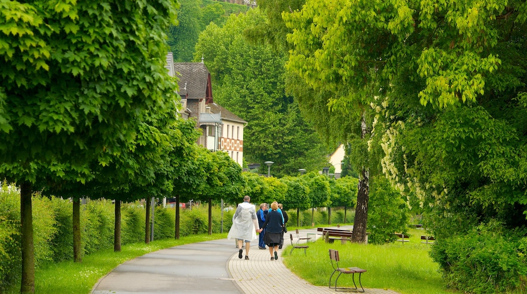 Cochem showing a park as well as a small group of people