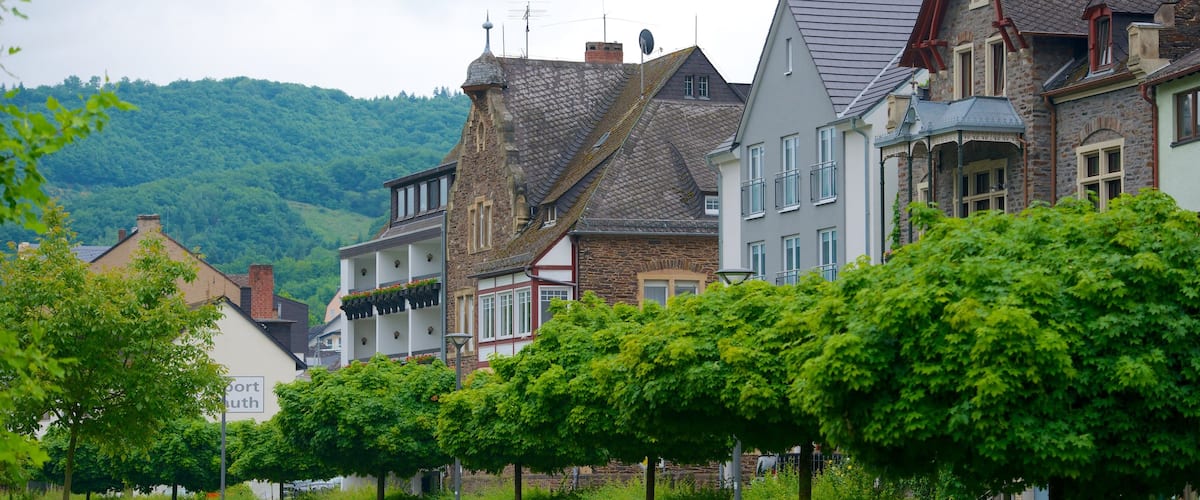 Cochem featuring a garden, a small town or village and street scenes