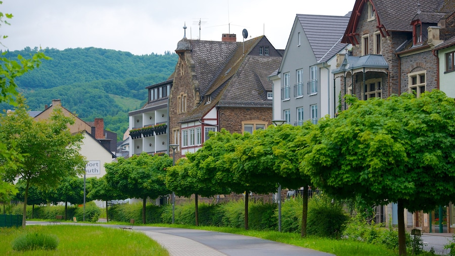 Cochem featuring street scenes, a garden and a small town or village