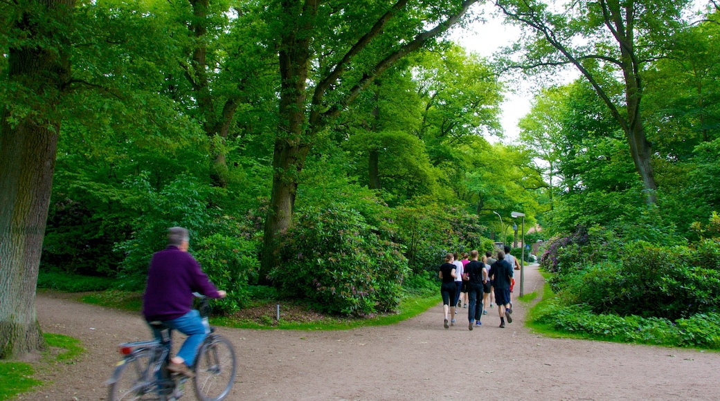 Stadtpark mettant en vedette parc et vélo