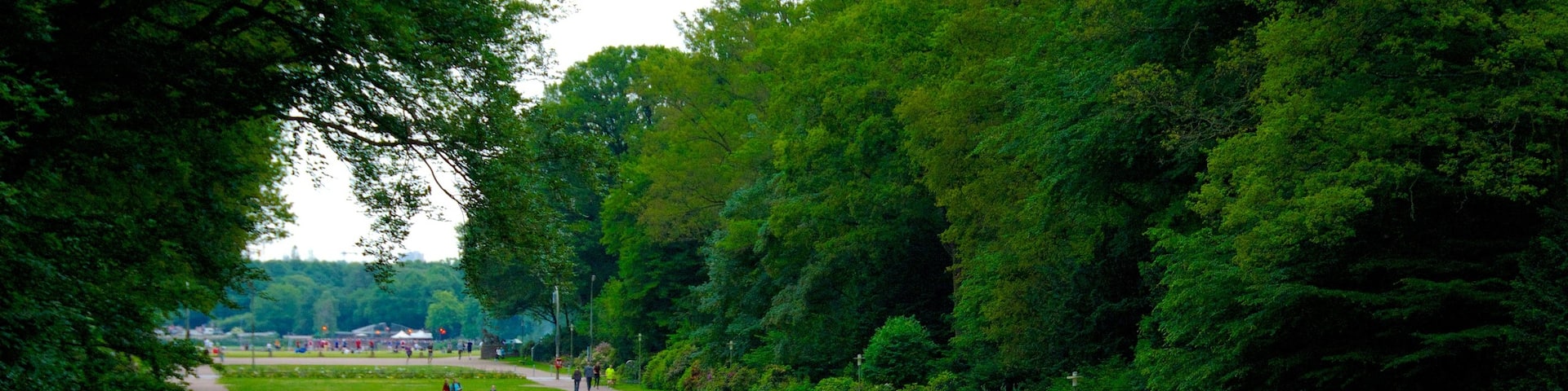 Winterhude showing a park