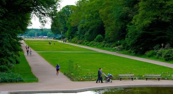 Winterhude showing a park