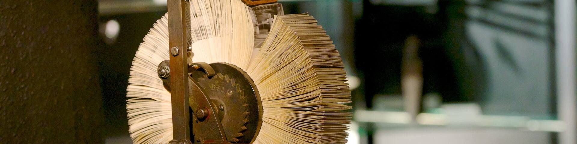 Film Museum featuring interior views