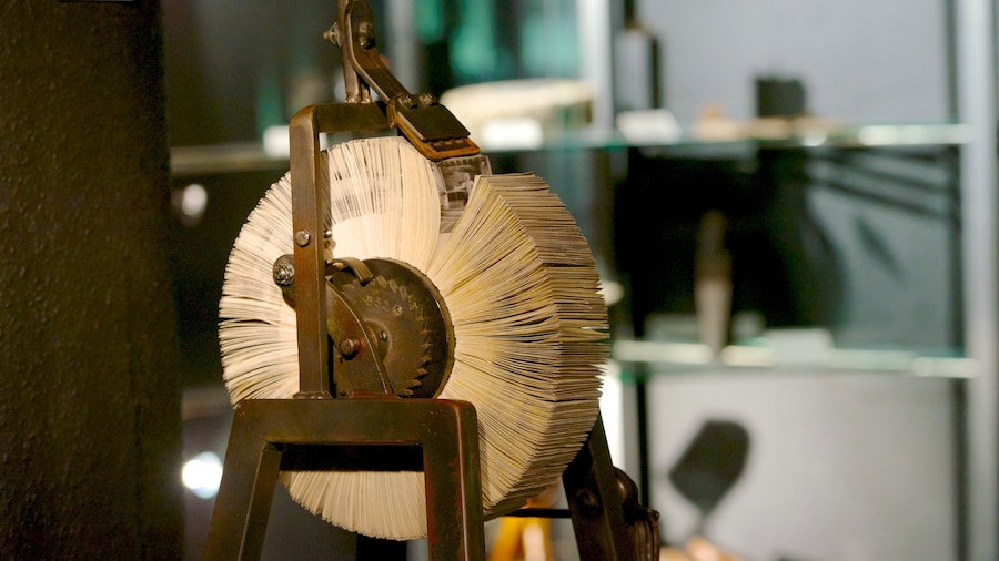 Filmmuseum caratteristiche di vista interna