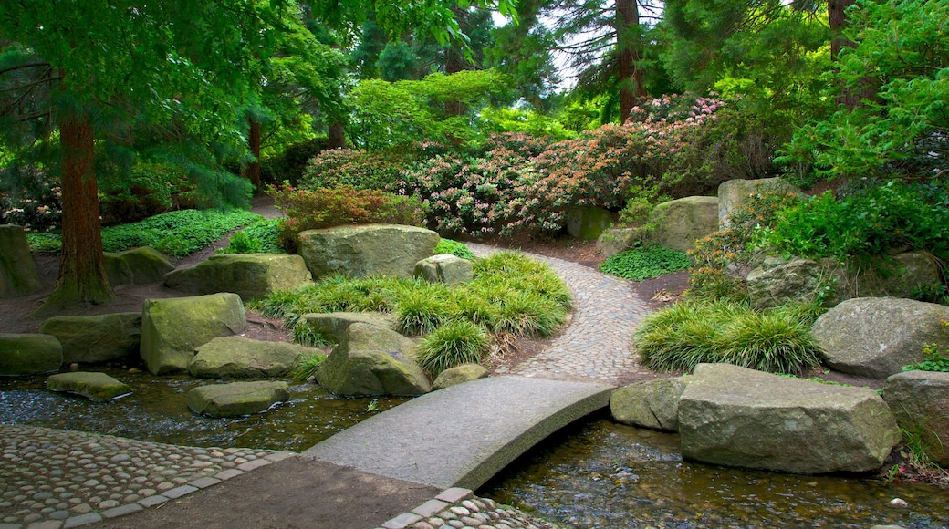 Jardin japonais montrant rivière ou ruisseau et parc