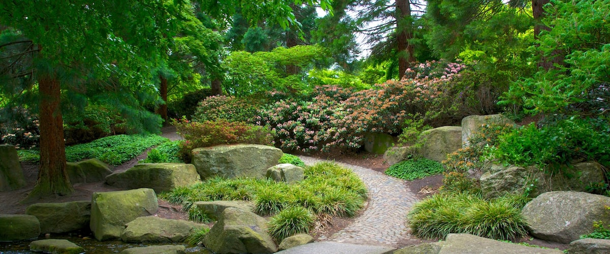 Jardin japonais montrant parc et riviĂšre ou ruisseau
