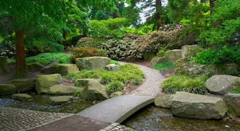 Japanischer Garten mit einem Park und Fluss oder Bach