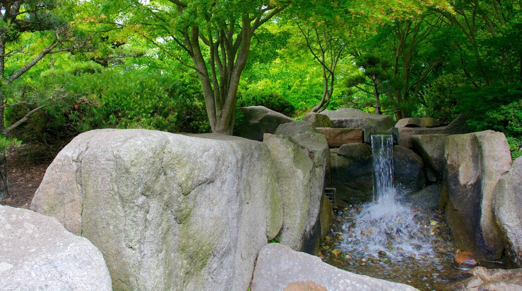 Japanese Garden showing a garden and a waterfall