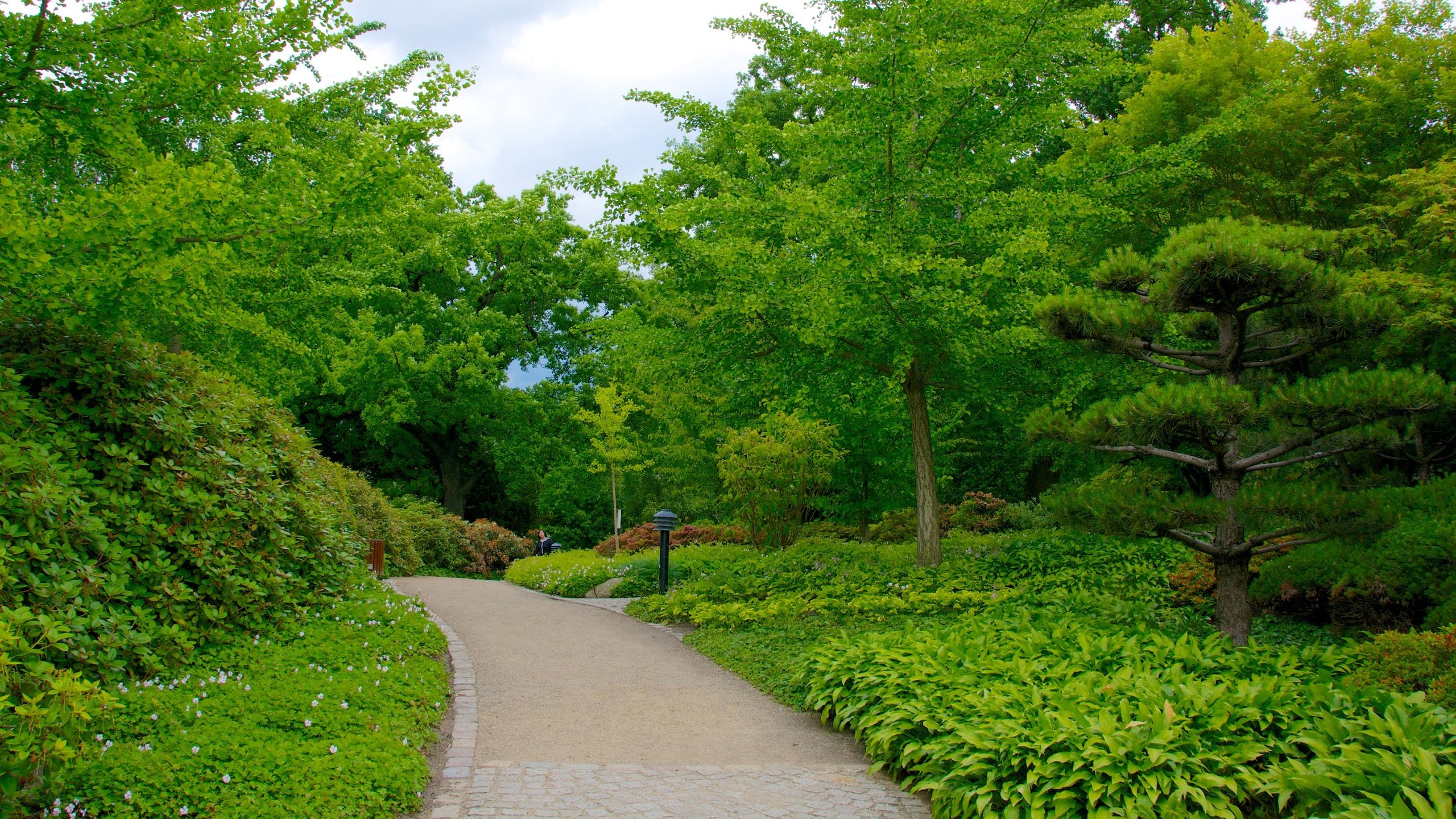 Sternschanze showing a park