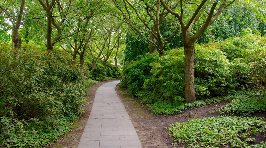 Sternschanze showing a park