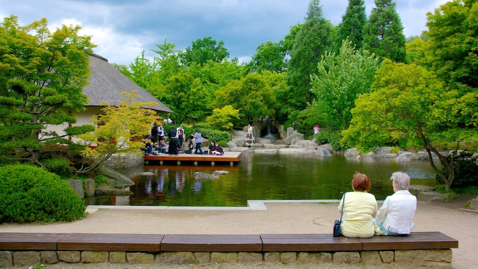 Jardin japonais qui includes mare et parc