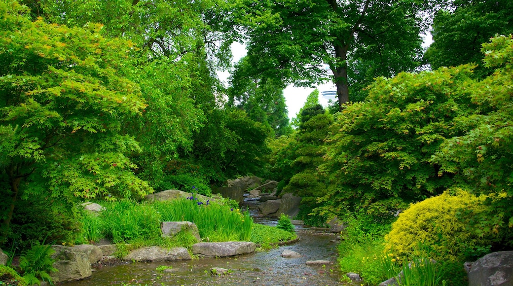 Sternschanze featuring a park and a river or creek