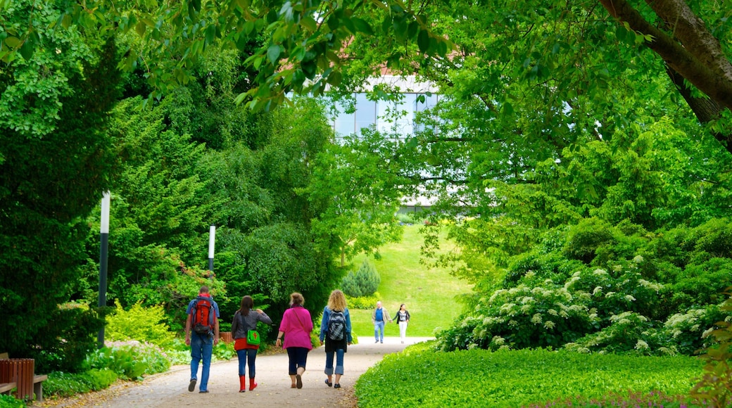 Jardins botaniques montrant jardin aussi bien que petit groupe de personnes